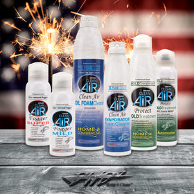 DWD2 Clean AIR next to hand showing compact 8 oz size for convenience