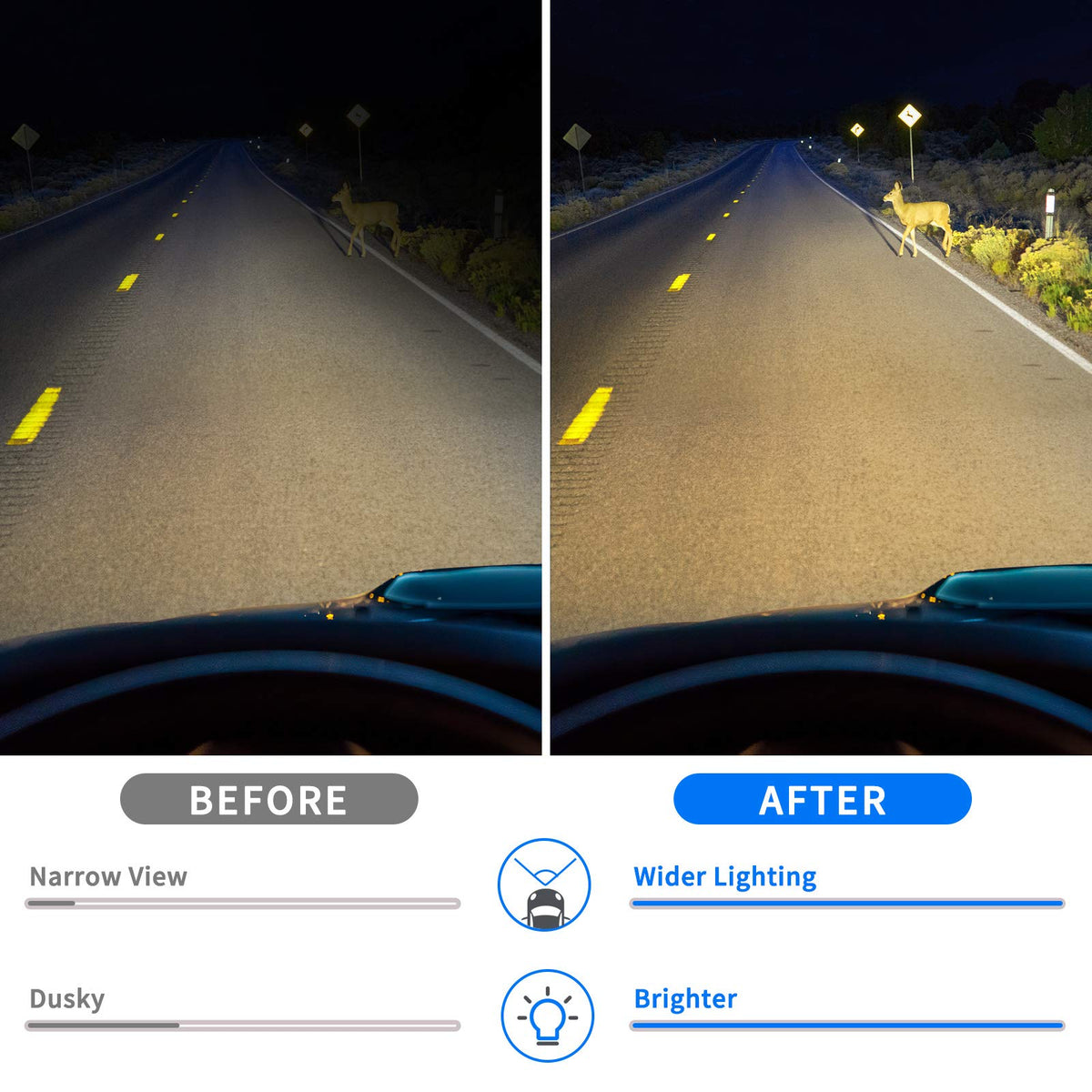 DWVO headlight beside ruler showing compact dimensions and installation fit