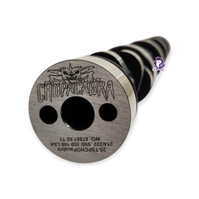 Dynosty beehive springs closeup illustrating LS6 spring design for reliable valvetrain control