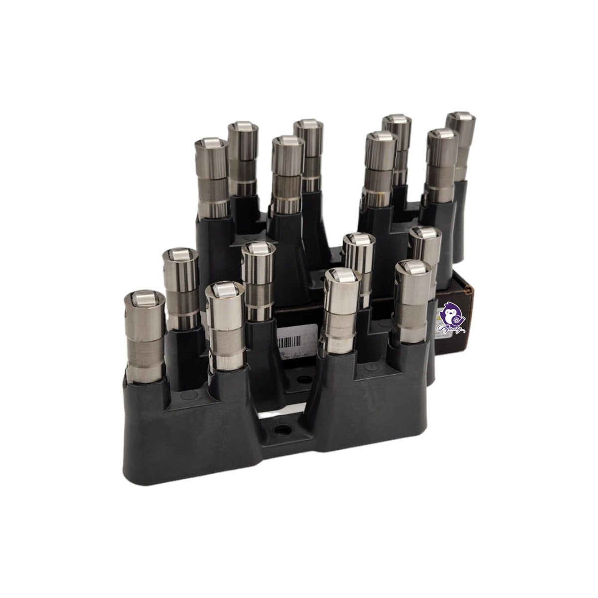 Dynosty guide trays top view showing alignment and secure positioning