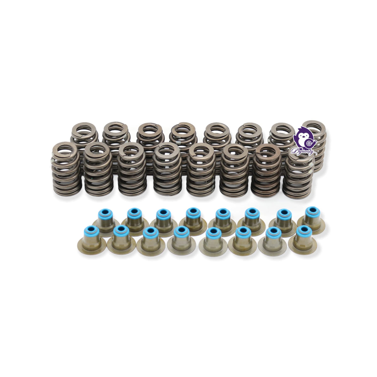 Dynosty pushrods and seals detail showing included OE-style parts for straightforward replacement