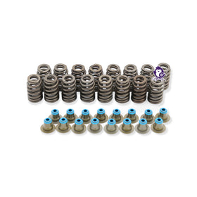 Dynosty pushrods and seals detail showing included OE-style parts for straightforward replacement