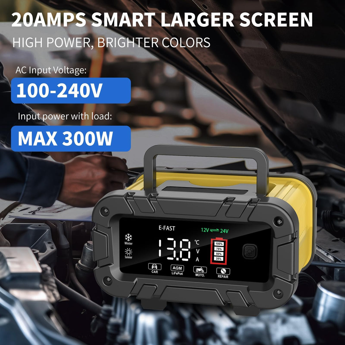 E-FAST repair mode label highlighted showing desulfation benefit for aged batteries