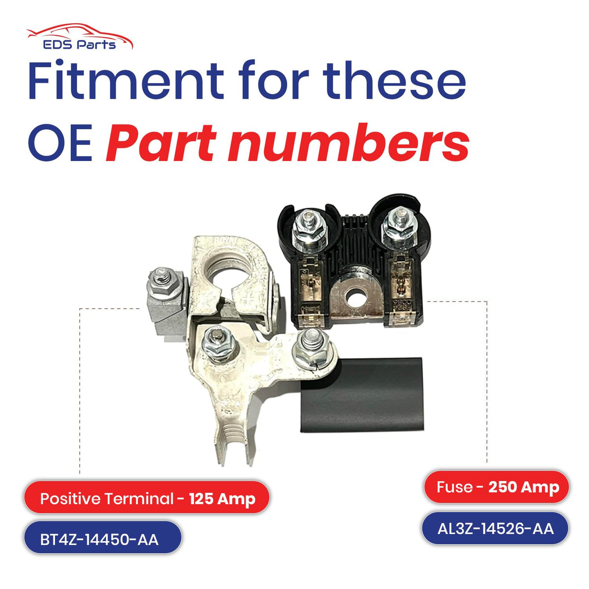 EAPP positive terminal close-up illustrating clean contact and corrosion resistance