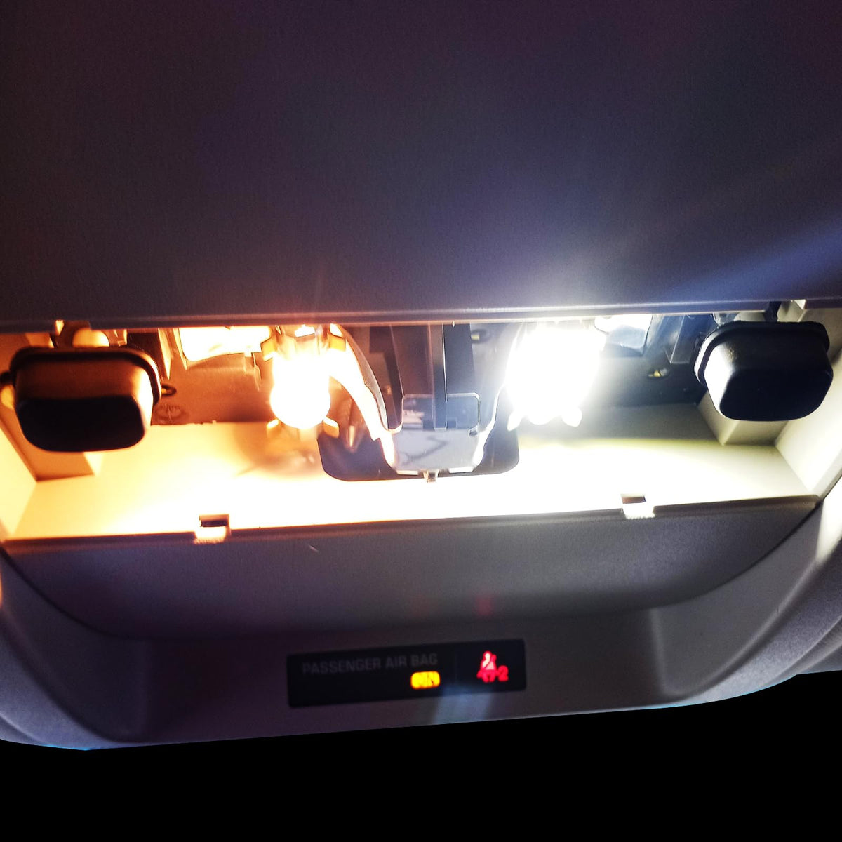 EASY EAGLE install tool with bulbs laid out, demonstrating easy plug-and-play installation
