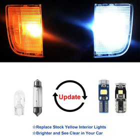 EASY EAGLE bulb close-up revealing LED chips and build quality