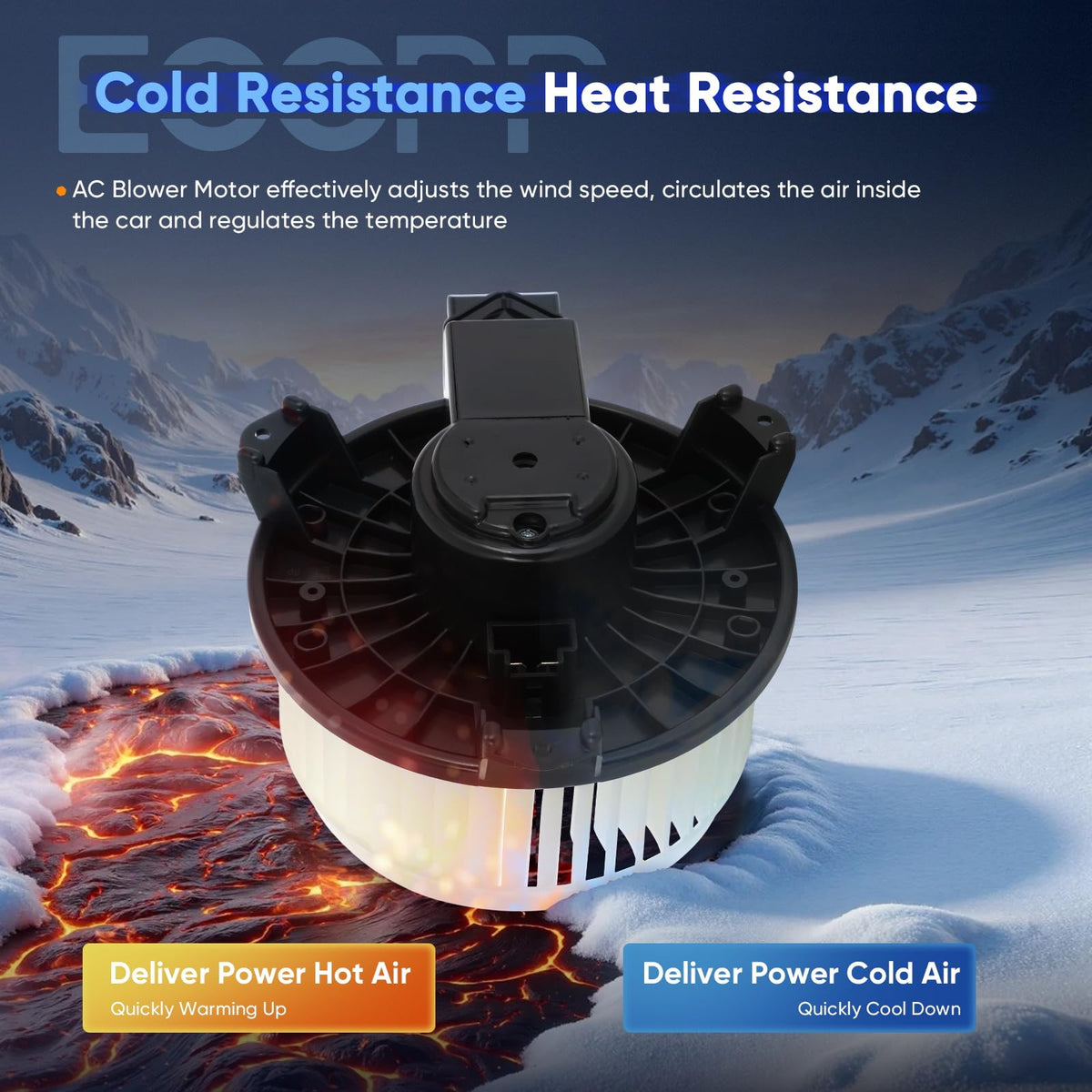 ECCPP label and OEM part numbers for accurate replacement confirmation