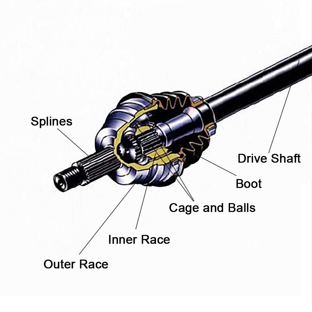 ECCPP shaft beside measuring tape showing accurate length and scale