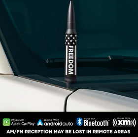 EcoAuto installed on Dodge Ram side profile showing low-profile aesthetic