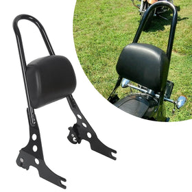 ECOTRIC sissy bar front view showing fit and sleek style benefits