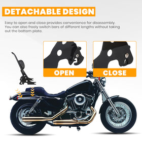 ECOTRIC sissy bar with motorcycle for scale aiding size judgment