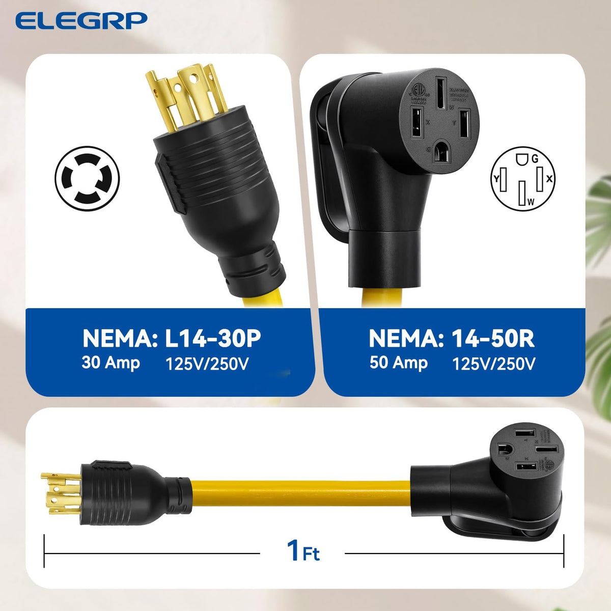 ELEGRP close-up of copper conductors showing robust wiring for reliable current