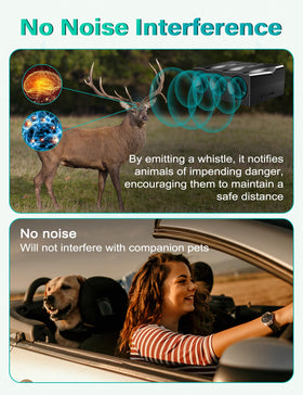 Elook whistle on wet road surface demonstrating weather-resistant durability