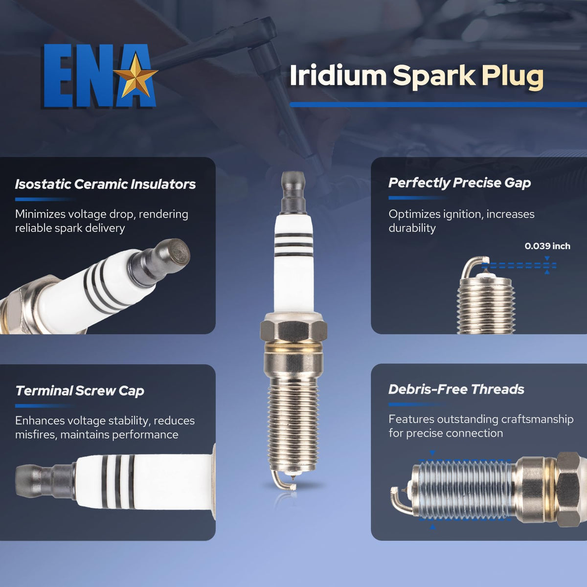 ENA coil and plug beside ruler showing accurate OEM-size fitment