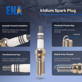 ENA coil and plug size comparison in hand showing correct fit and scale