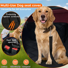 Erivis reinforced seatbelt openings allowing secure harness attachment