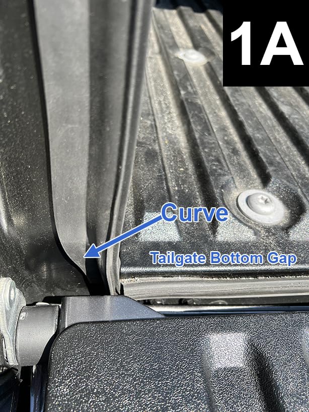 ESI tailgate seal side profile demonstrating taper seal for tight fit