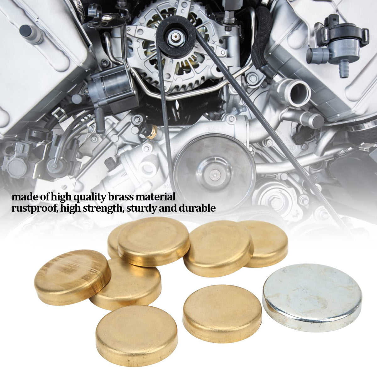 Espusta size comparison against coin showing plug dimensions for fitment