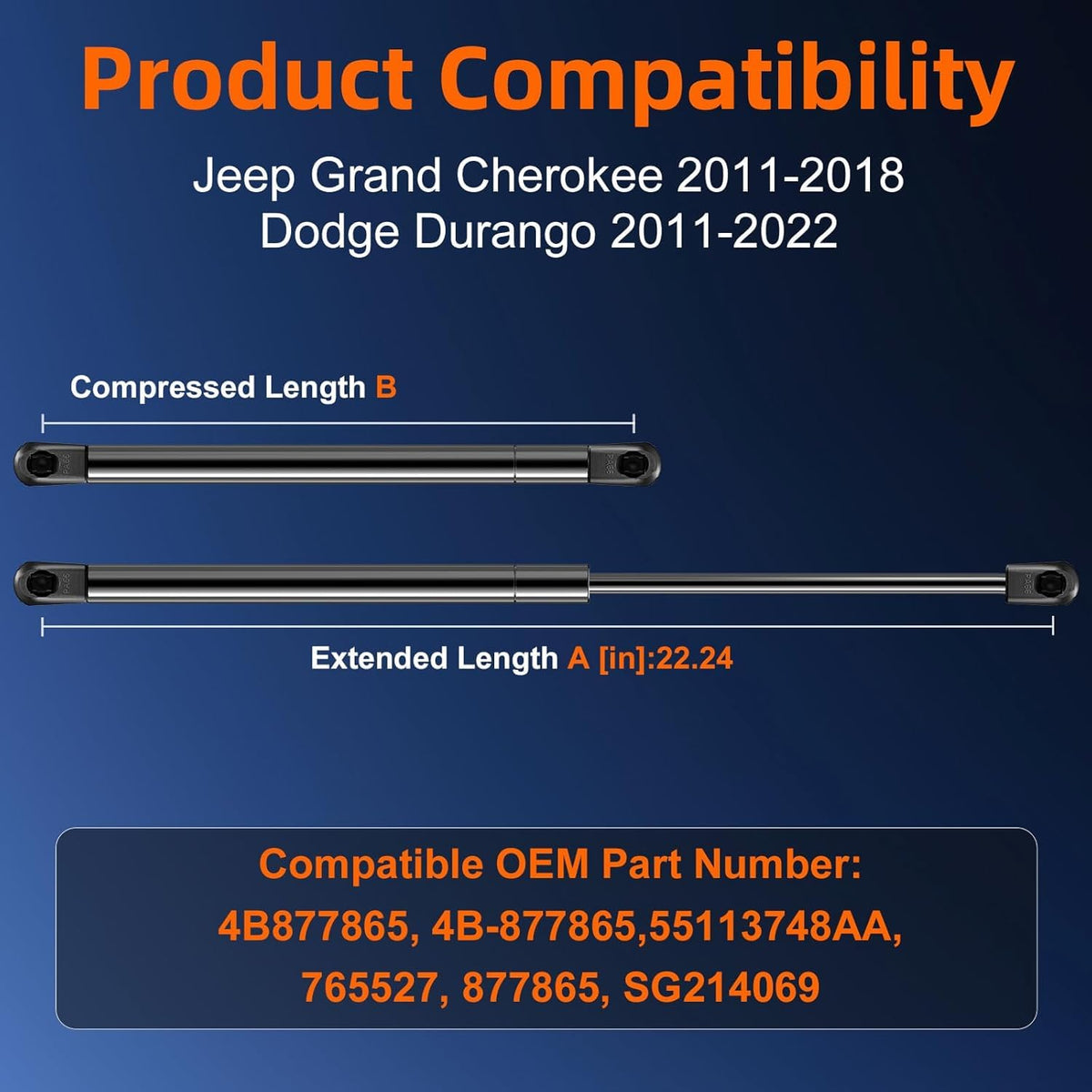 Euplokeer hood strut cylinder close-up showing durable finish and reliable lift