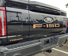 Eurosport Daytona front view fitted on Ford F150 Pro Access tailgate showing clean branded look