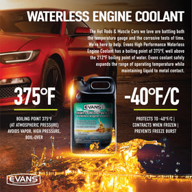 EVANS EC53001 cap and tamper seal showing secure closure and freshness protection