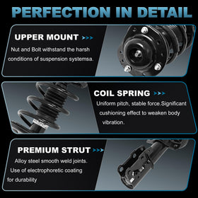 EVERESTWAY heavy-duty coil spring detail showing improved shock absorption