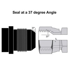 EVIL ENERGY size comparison next to ruler showing compact 12AN bung dimensions for accurate planning