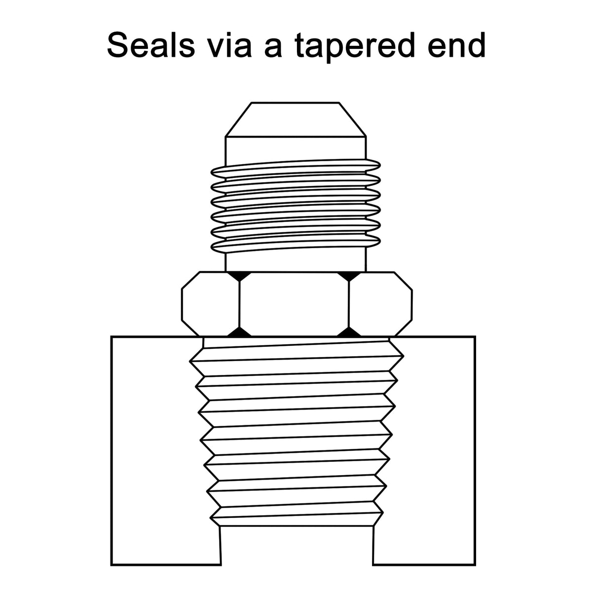EVIL ENERGY adapter beside ruler showing size scale for easy selection and fit confirmation