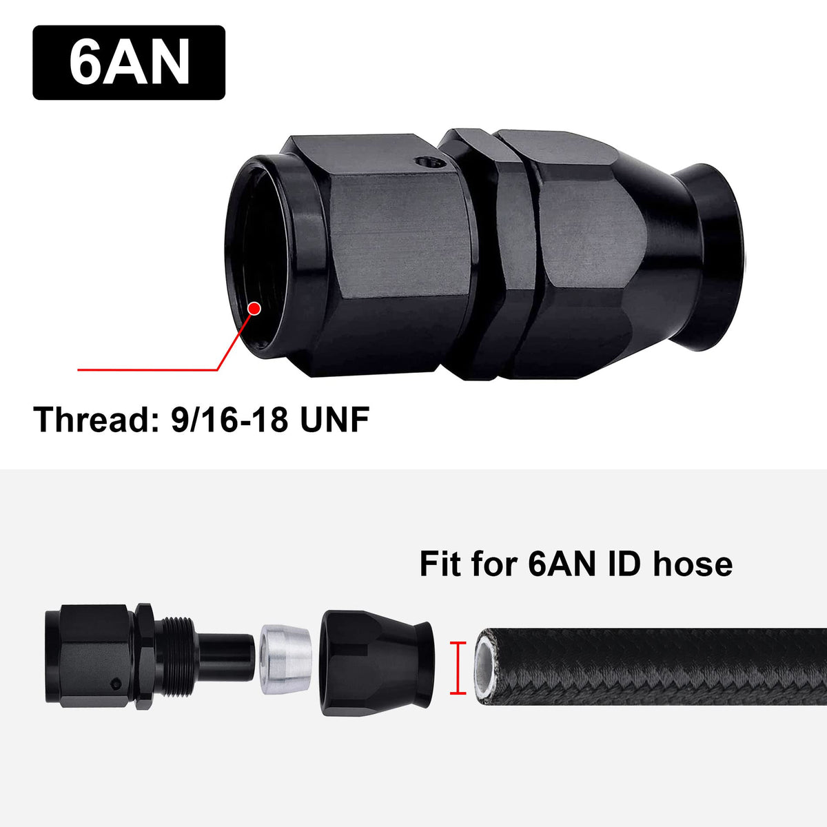 EVIL ENERGY fitting installed on PTFE hose demonstrating tidy connection and secure routing