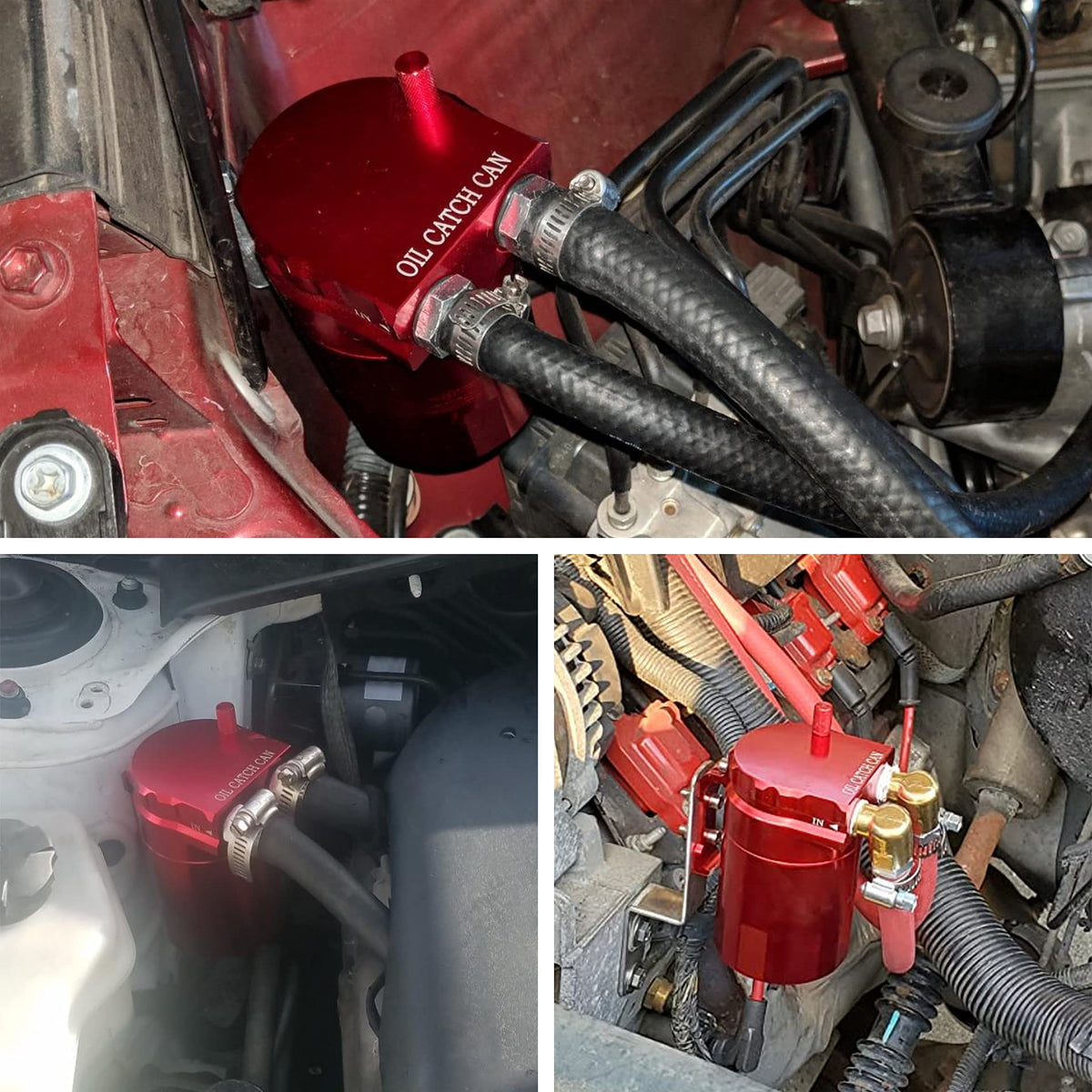 EVIL ENERGY catch can in a performance engine bay highlighting cleaner intake protection