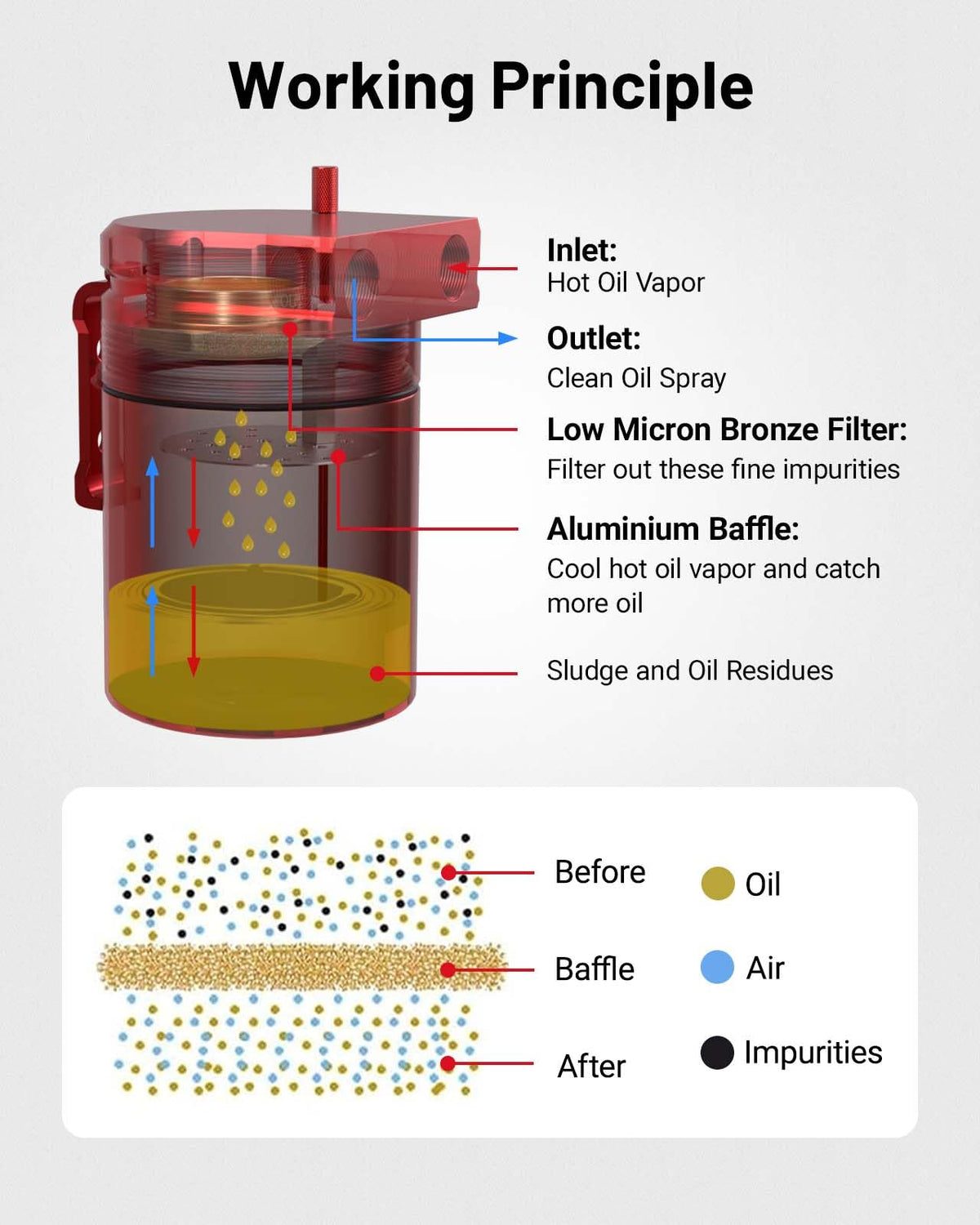 EVIL ENERGY catch can next to a soda can for scale demonstrating compact 300ml capacity