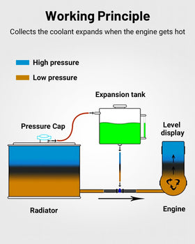 EVIL ENERGY 1L tank next to a ruler for scale to confirm compact capacity