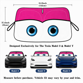 eygeufg side angle showing wide coverage across Model Y/3 windshield protection