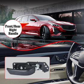 FAERSI interior rear passenger view illustrating correct positioning benefit