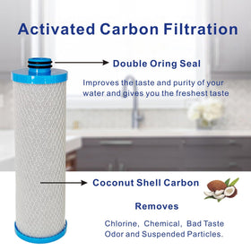 Close-up of FILSADAE coconut shell carbon media texture demonstrating effective odor removal