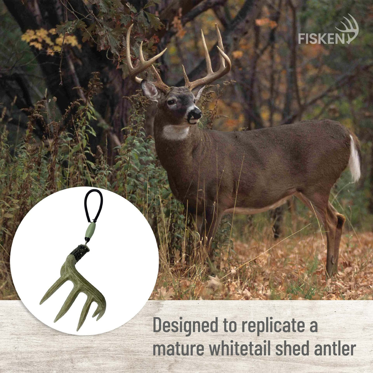 Fisken antler hook detail showing secure clasp and stable rearview mounting