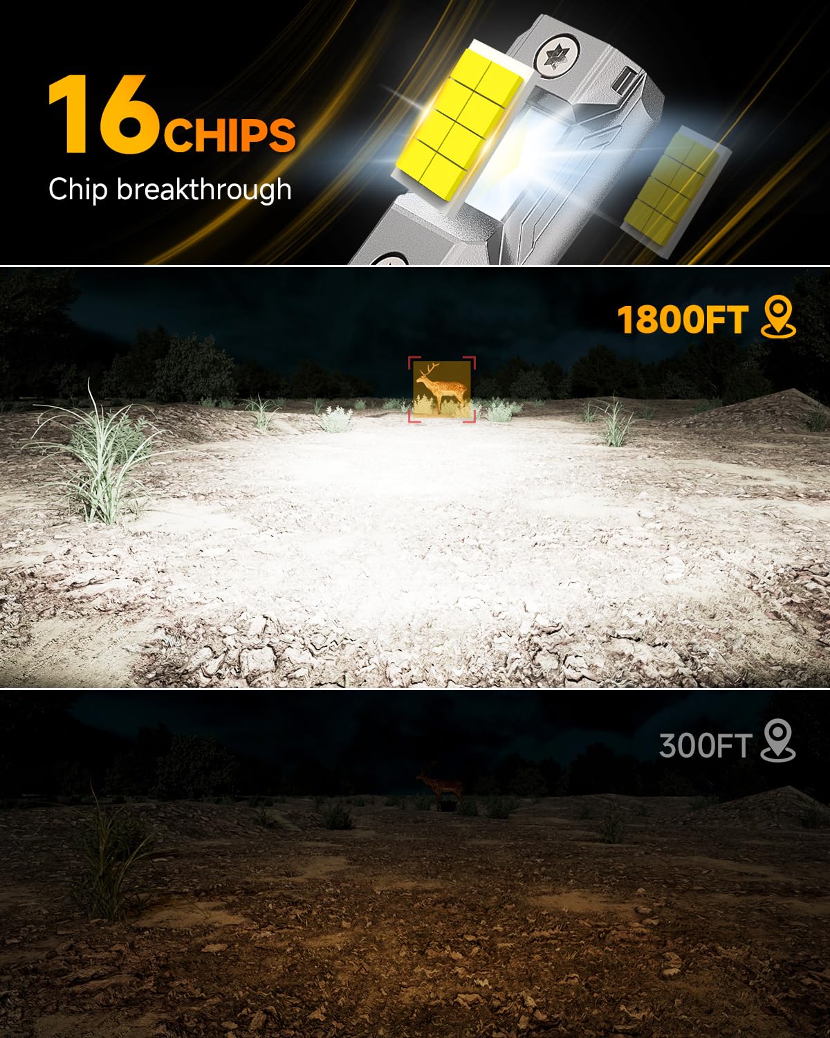 FORENNER close-up of LED chips and beam cutoff, delivers focused glare-free illumination