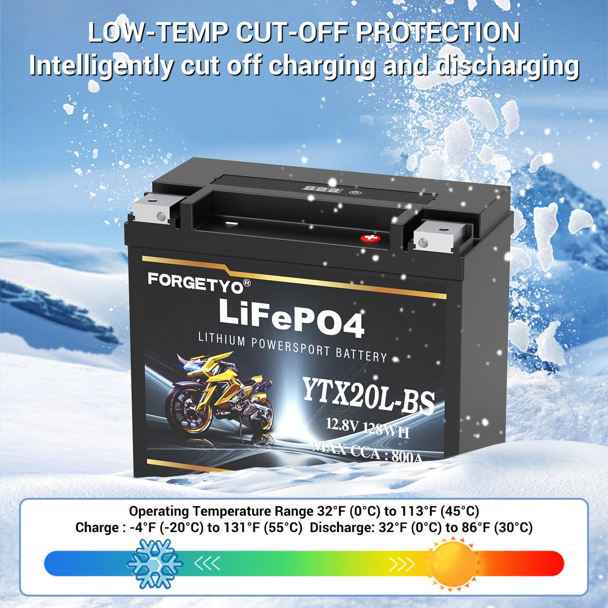 Forgetyo label and sticker showing voltage capacity and BMS protection details