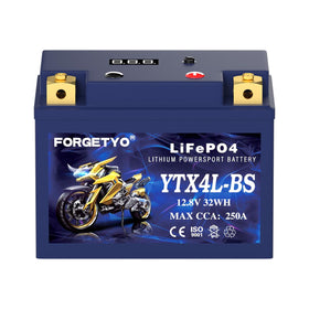 Close-up of Forgetyo product label showing model and safe charging instructions benefit