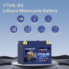 Hand holding Forgetyo battery demonstrating lightweight 0.99 lb benefit for handling