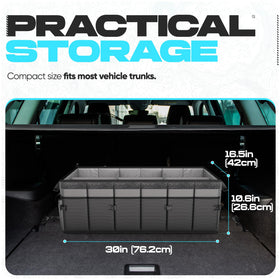 FORTEM in trunk with groceries secured to prevent spills