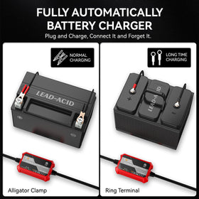FOVAL ring terminal detail for secure permanent battery connections