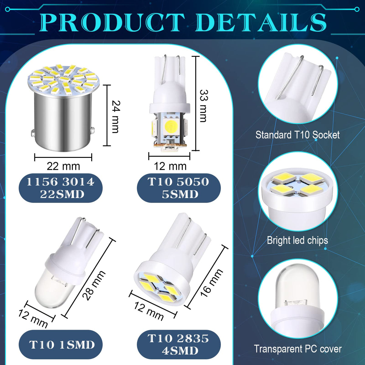Frienda side-by-side 36mm and 41mm bulbs demonstrating size reference benefit