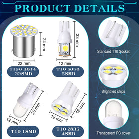 Frienda side-by-side 36mm and 41mm bulbs demonstrating size reference benefit