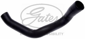 Gates 21615 close-up of EPDM cover and reinforcement detailing for durability