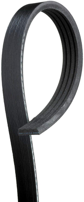 Gates K040353 next to ruler showing length and accurate OE replacement fit