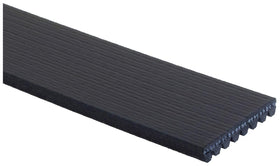 Gates K080948 close-up of rib profile demonstrating durable grip and longevity