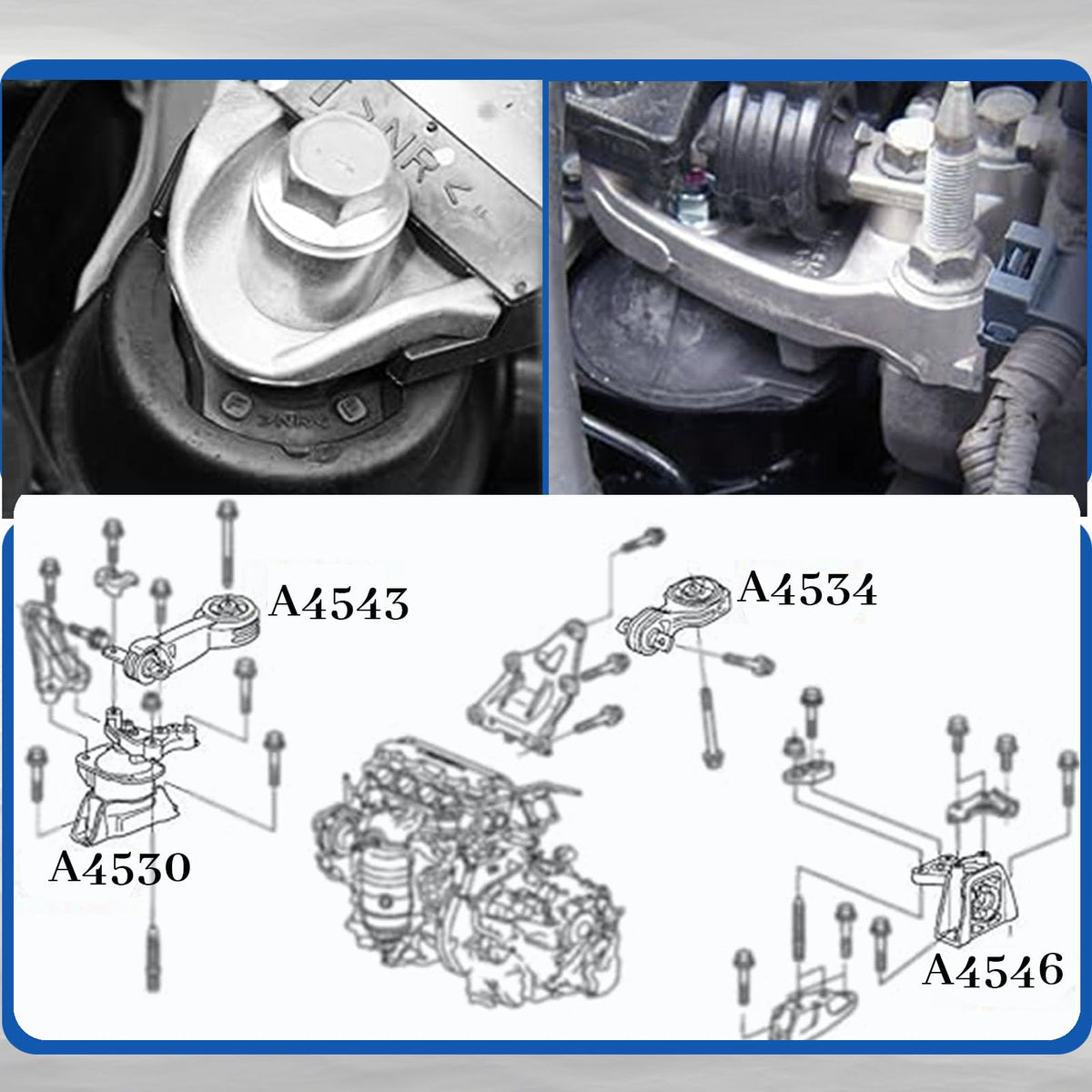 Gdydi mount coating detail macro demonstrating rust-resistant finish for longer life