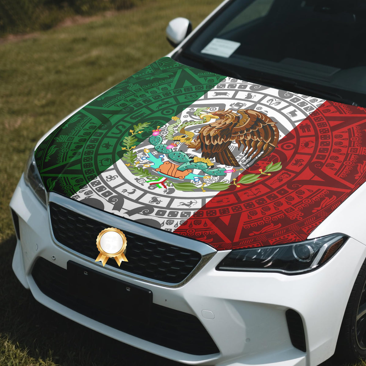 Generic Mexico Flag cover on hatchback for scale showing 4x5 ft fit