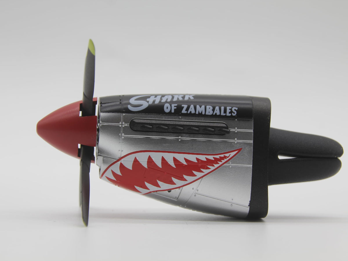 Generic P-51 front view showing shark mouth and vintage detail for cabin style